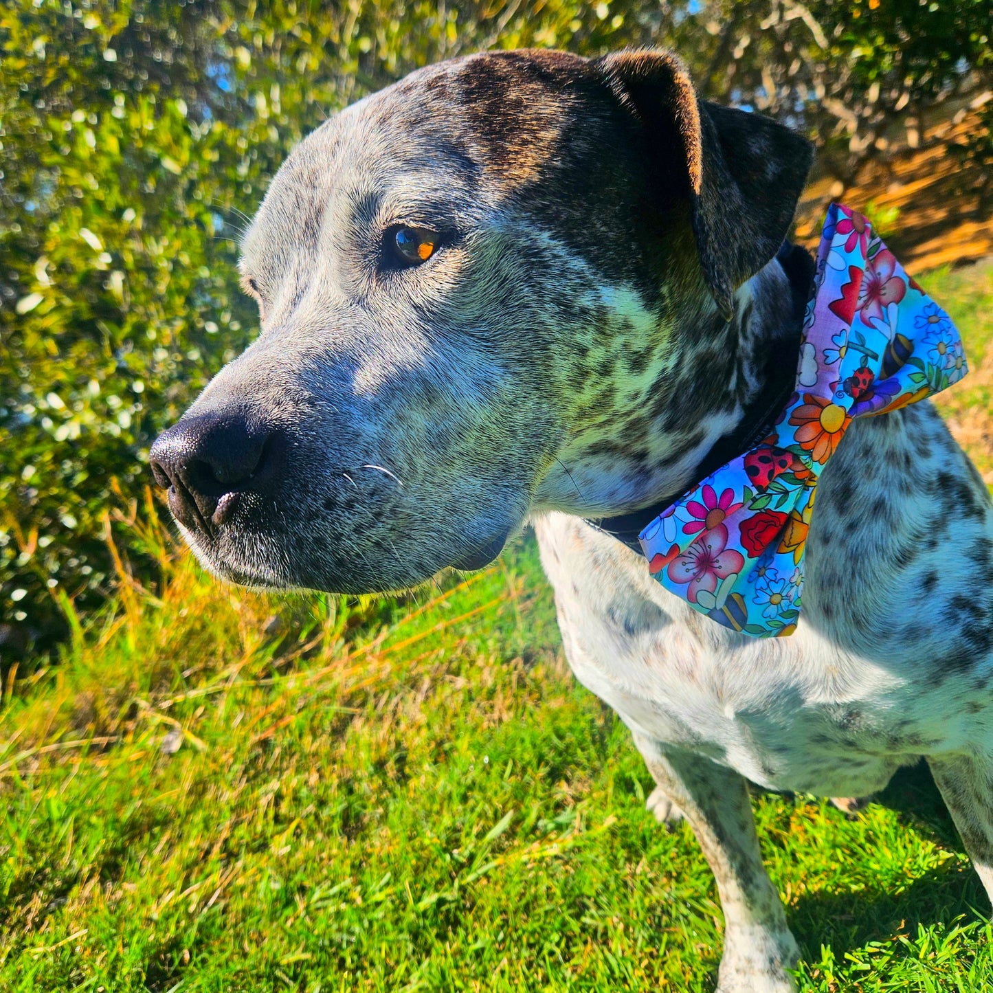 Happy Floral