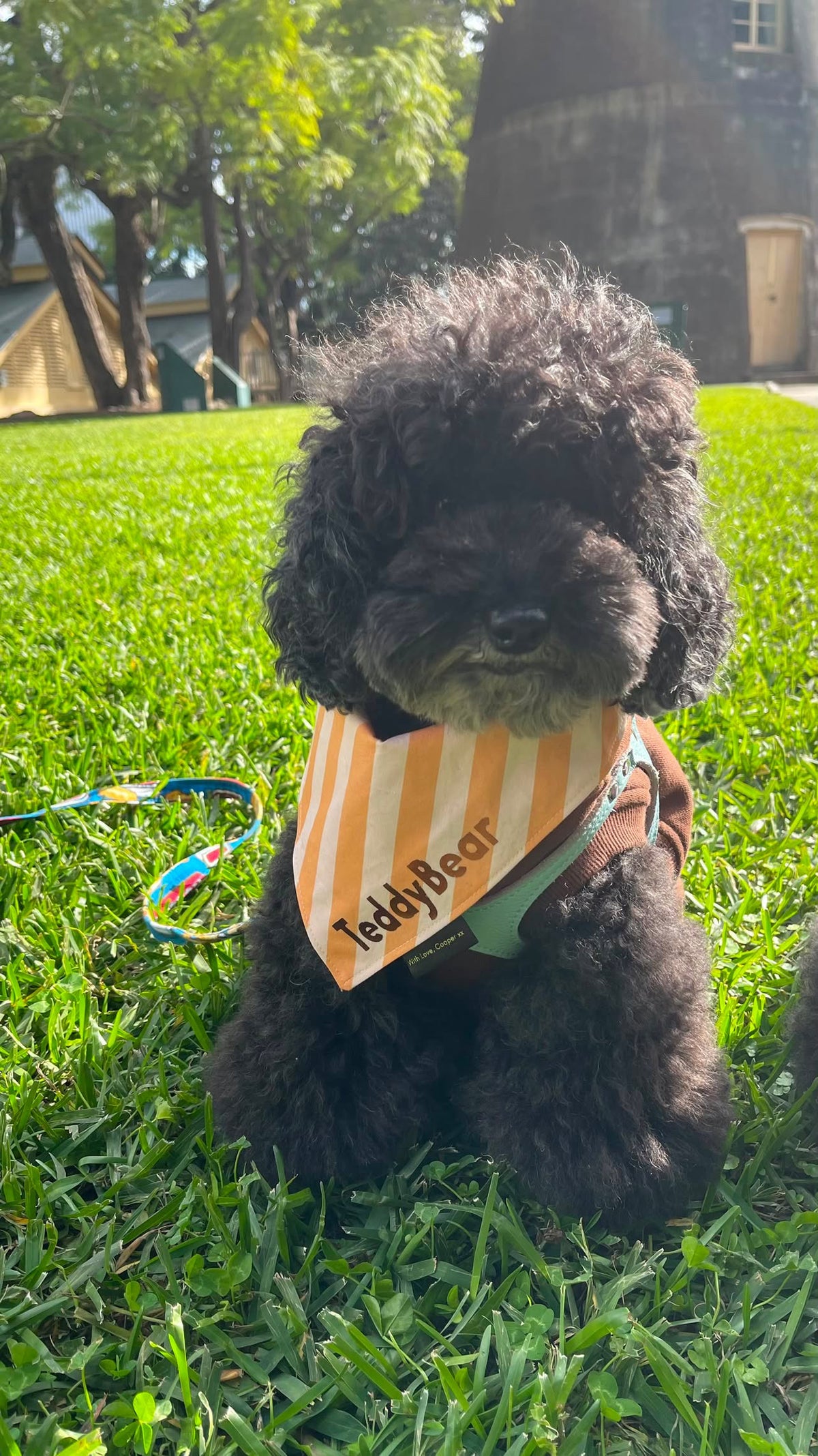 Toffee Stripes Dog Bandana