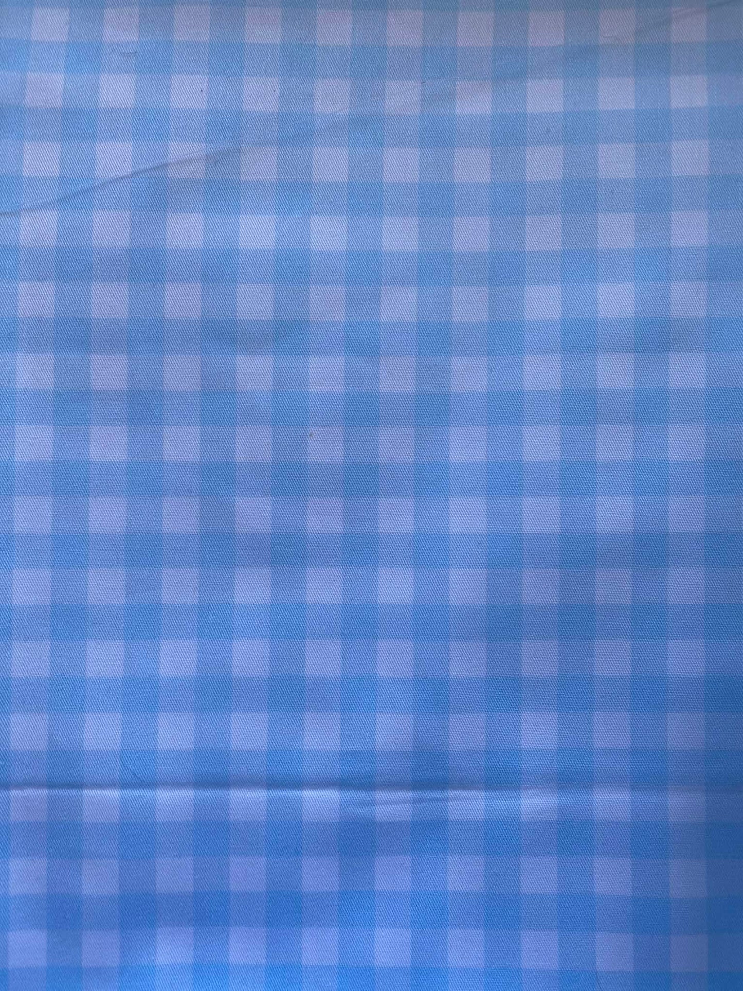 Coastal Gingham Bandana