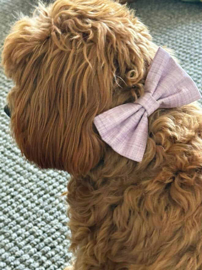 Lilac Linen Look