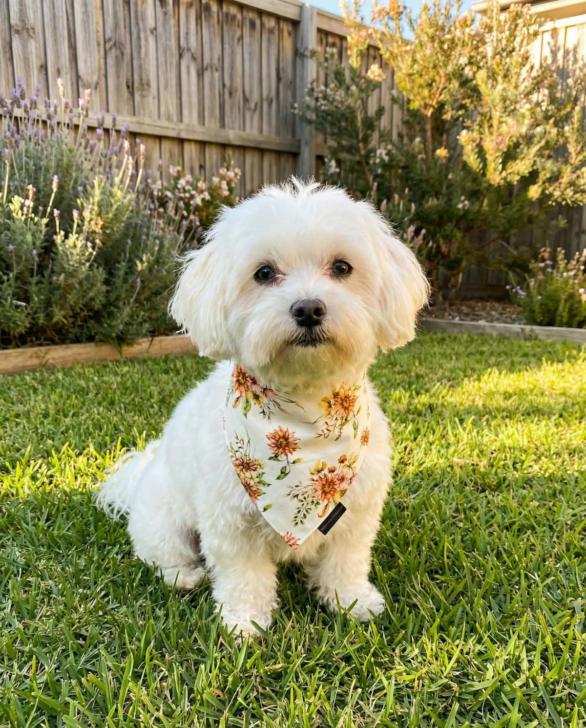 Cream Floral Dog Bandana