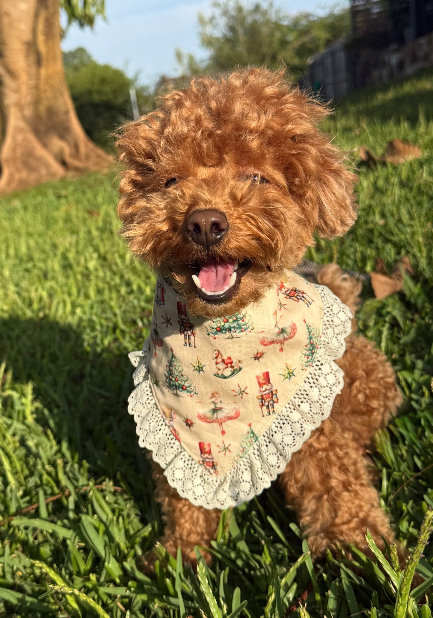 Nutcracker Dream Dog Bandana