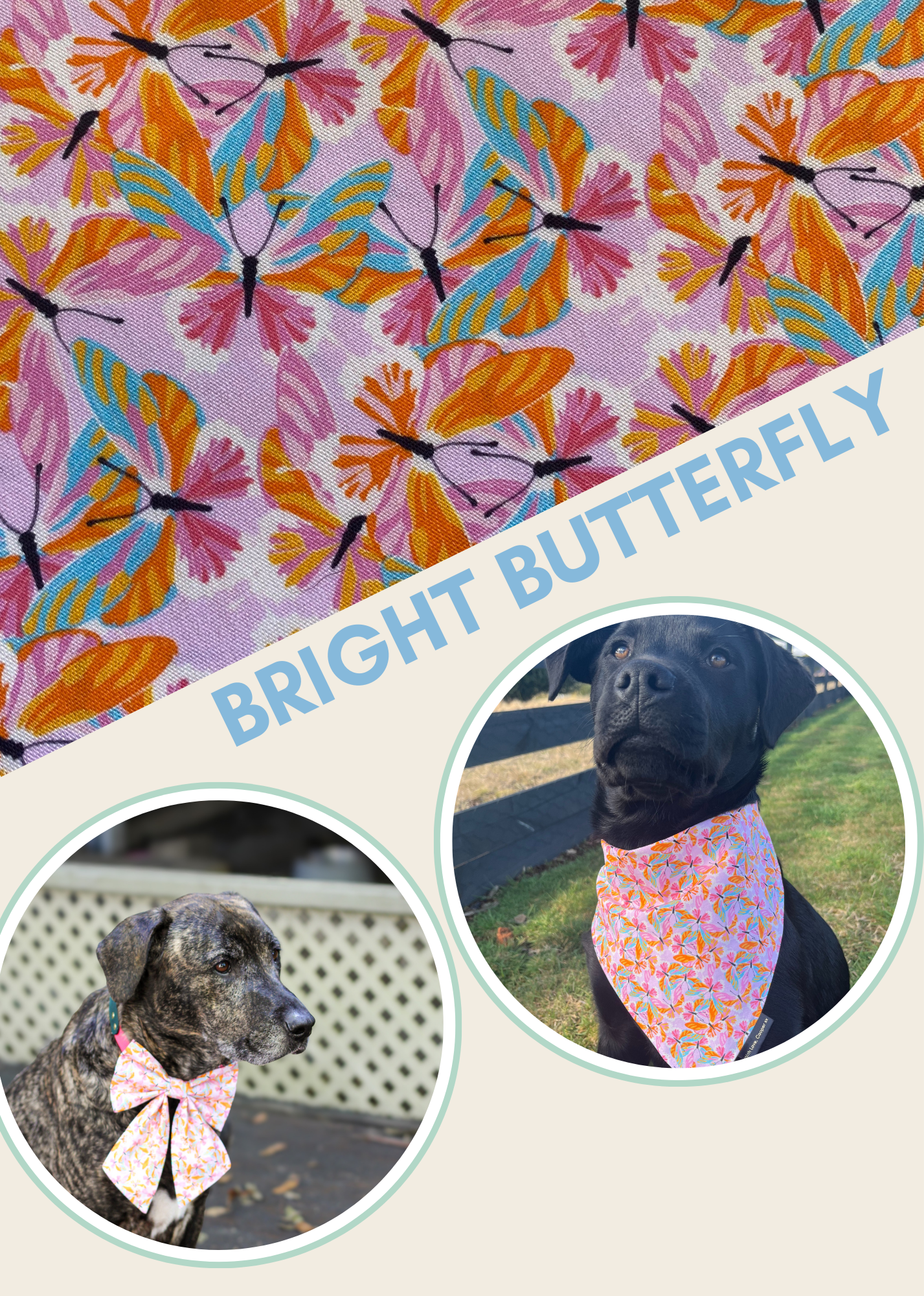 Bright Butterflies