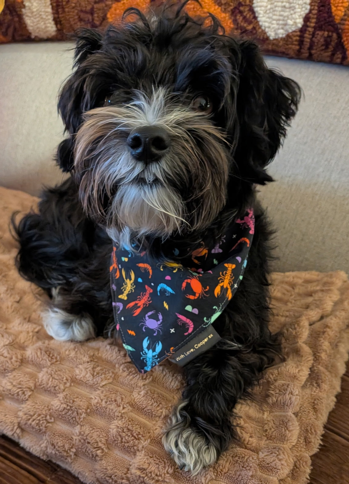 Rainbow Crustaceans Dog Bandana