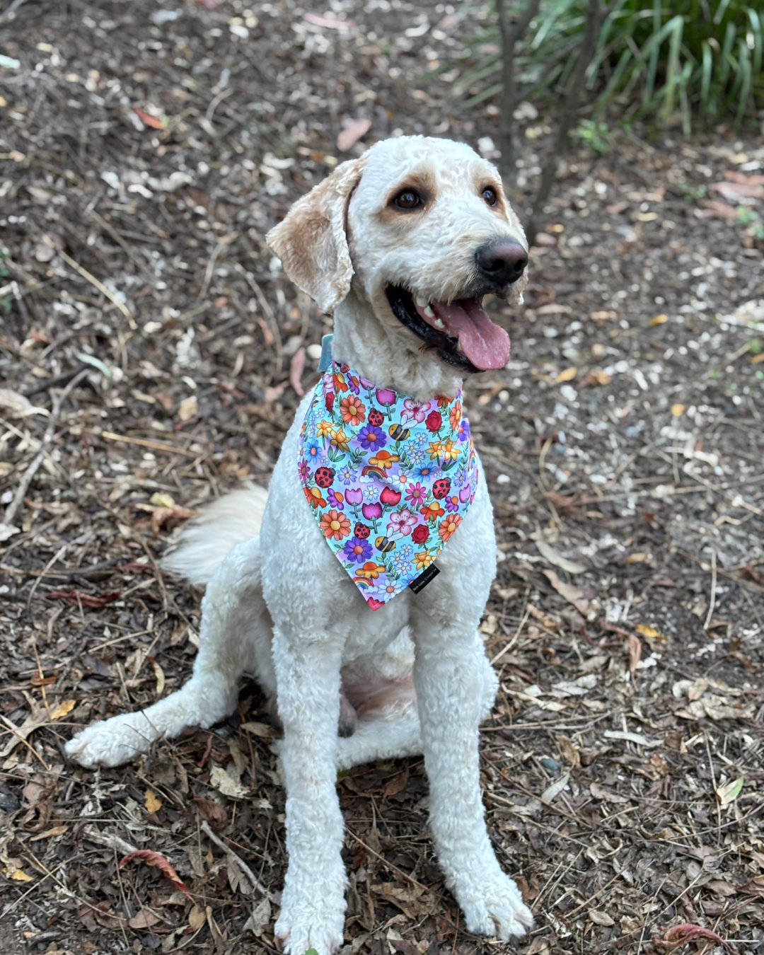 Happy Floral