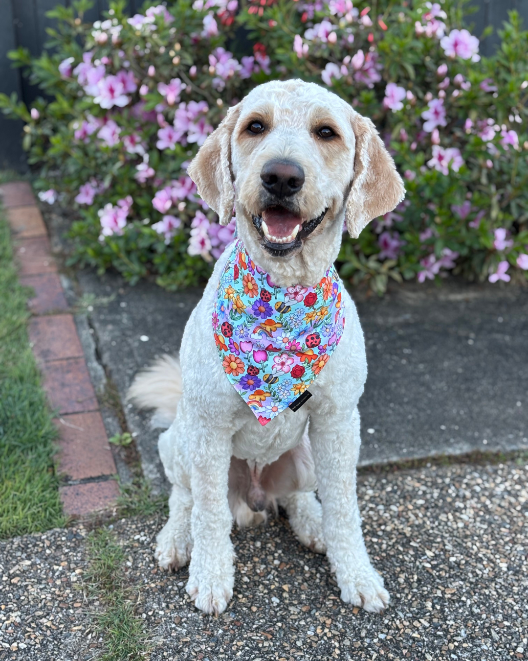 Happy Floral