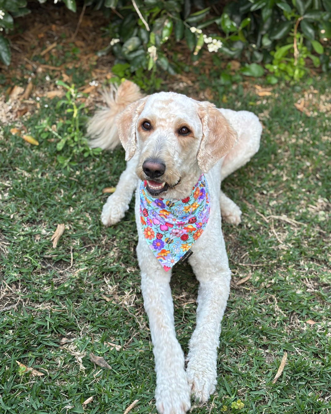 Happy Floral