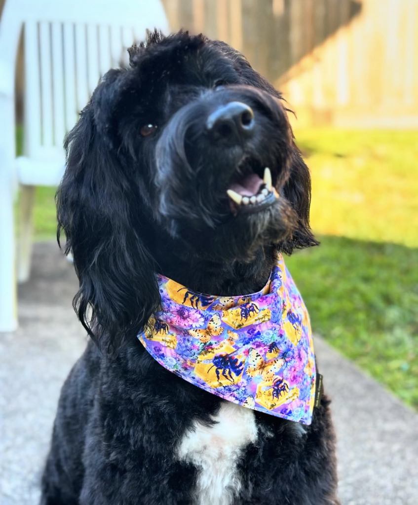 BANDANAS
