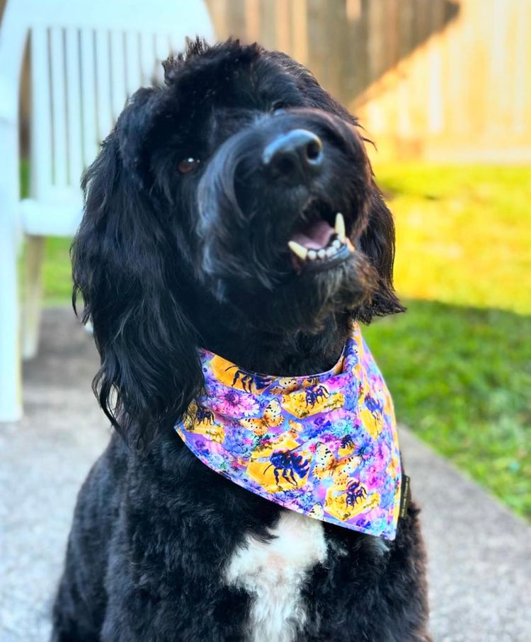 BANDANAS