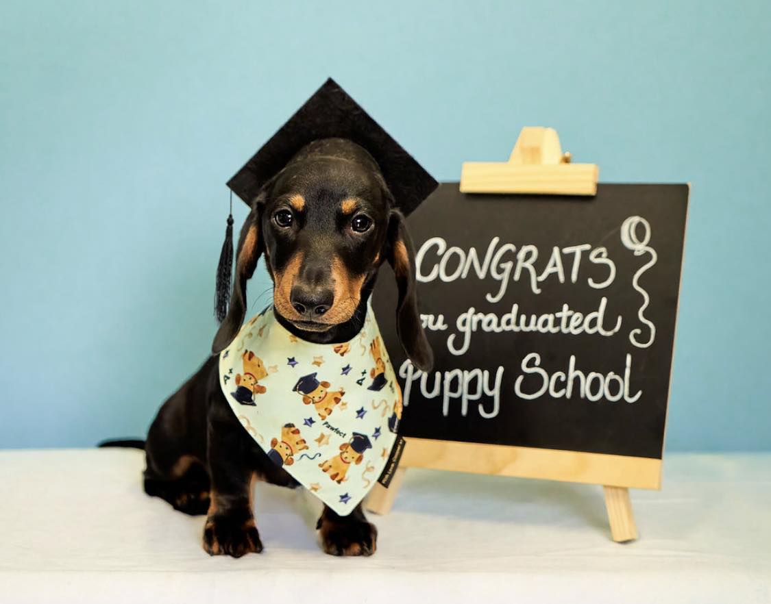 Congratulations you Graduated!