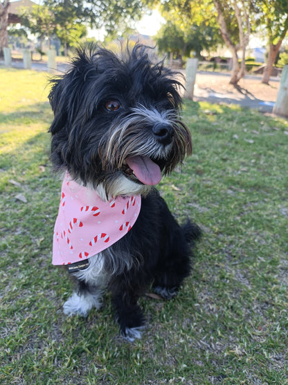 Puppermint Twist Dog Bandana