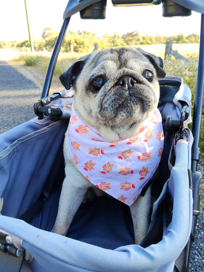 Ginger Paws Dog Bandanas