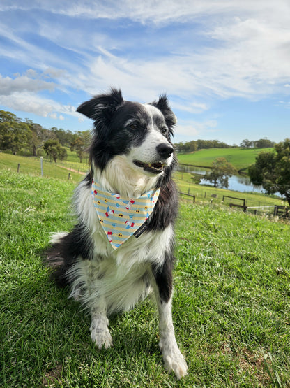 Sunshine Santa -EXCLUSIVE to With Love, Cooper xx