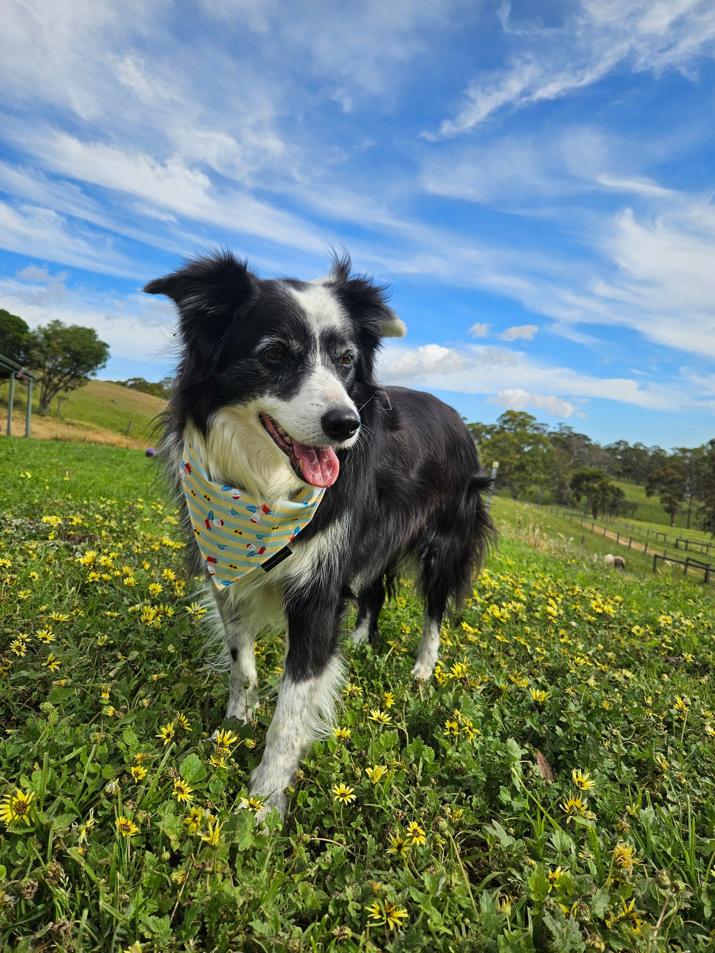 Sunshine Santa -EXCLUSIVE to With Love, Cooper xx