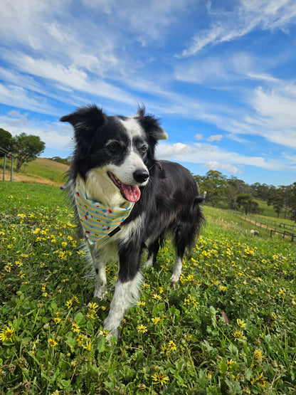 Sunshine Santa -EXCLUSIVE to With Love, Cooper xx