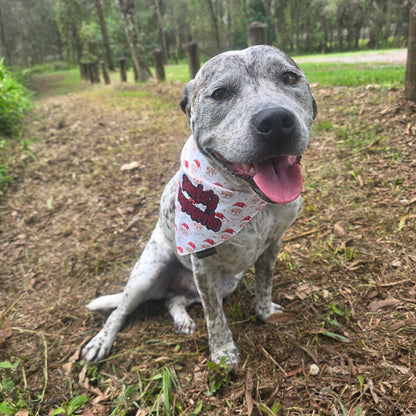 Santa's Favourite Dog Bandana