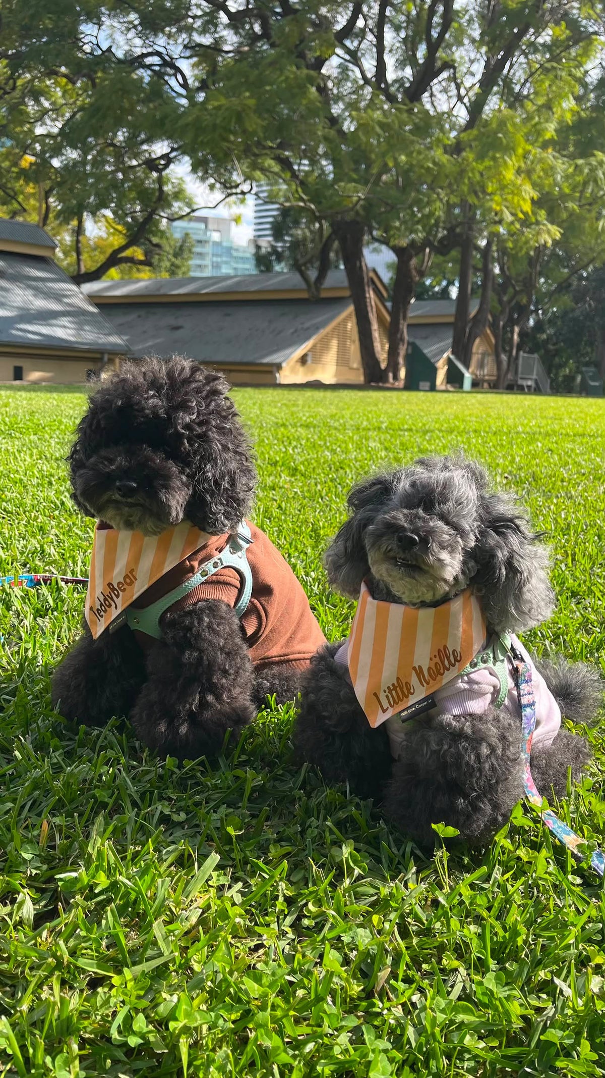 Toffee Stripes Dog Bandana