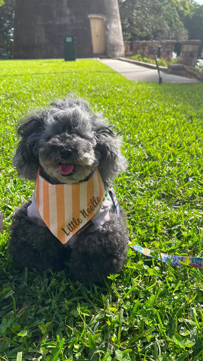 Toffee Stripes Dog Bandana