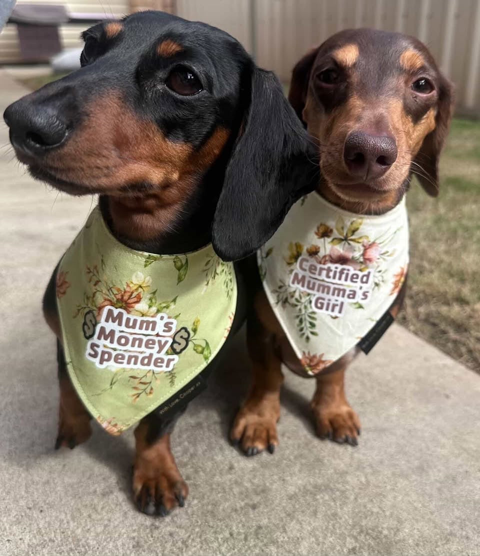 Sage Floral Dog Bandana