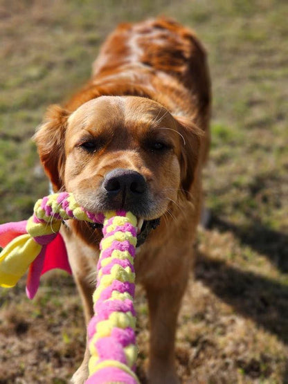 Fleece Tug Toy