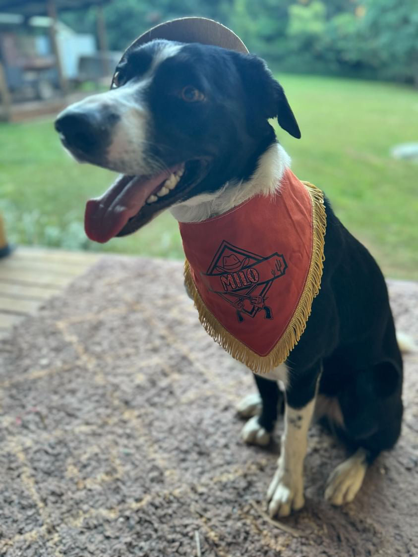 Wild West Bandana Dog Accessories