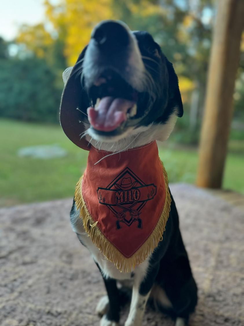Wild West Bandana Dog Accessories