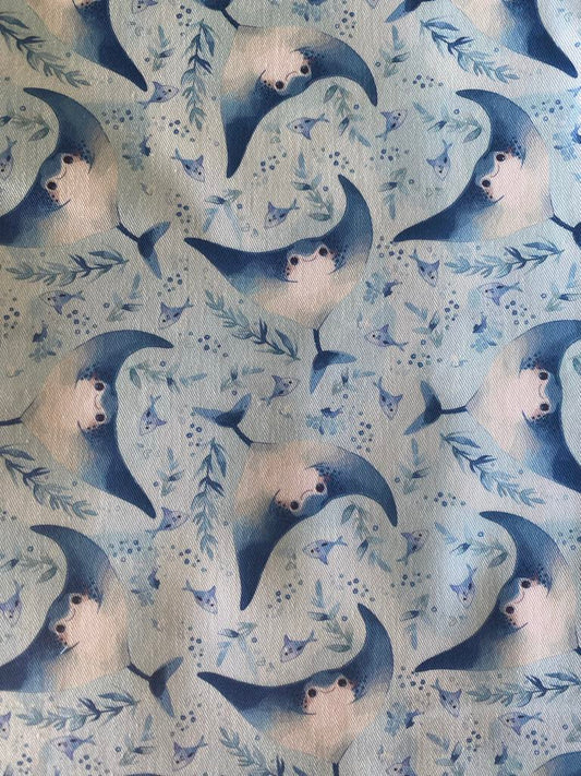 Manta Ray