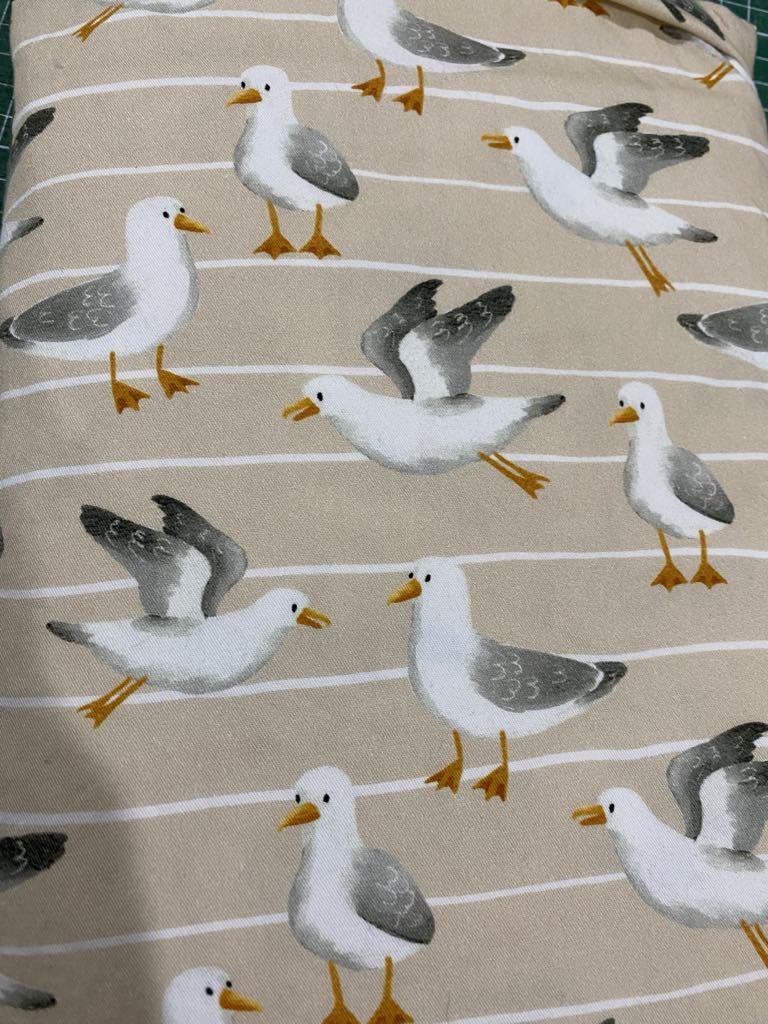Seagulls