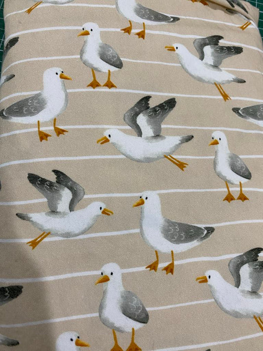 Seagulls
