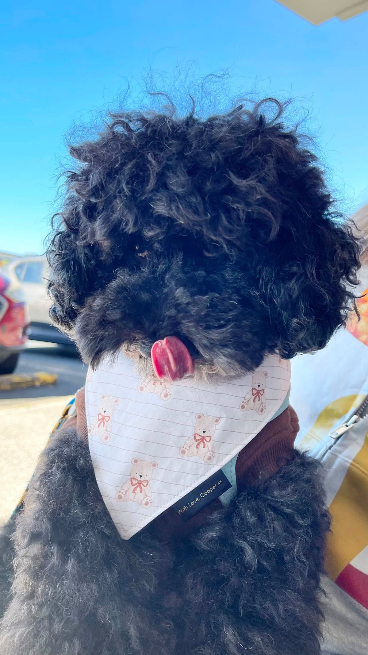 Teddy Stripes Dog Bandana
