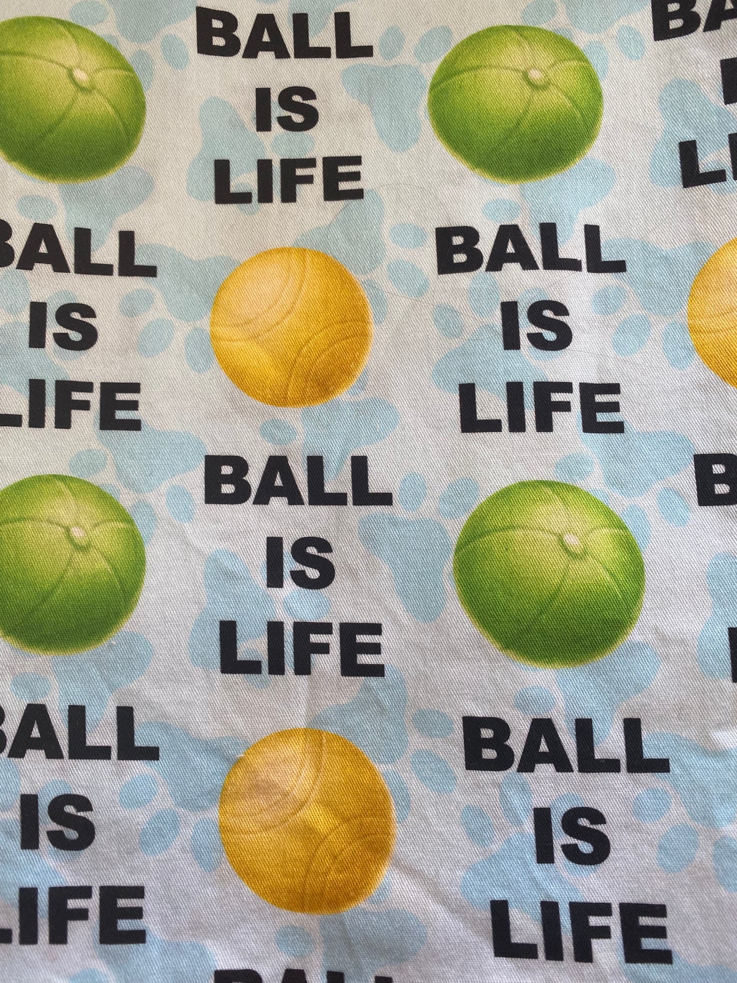 Ball is Life - Blue Dog Bandana