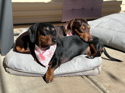 Lush Cherry Dog Bandana