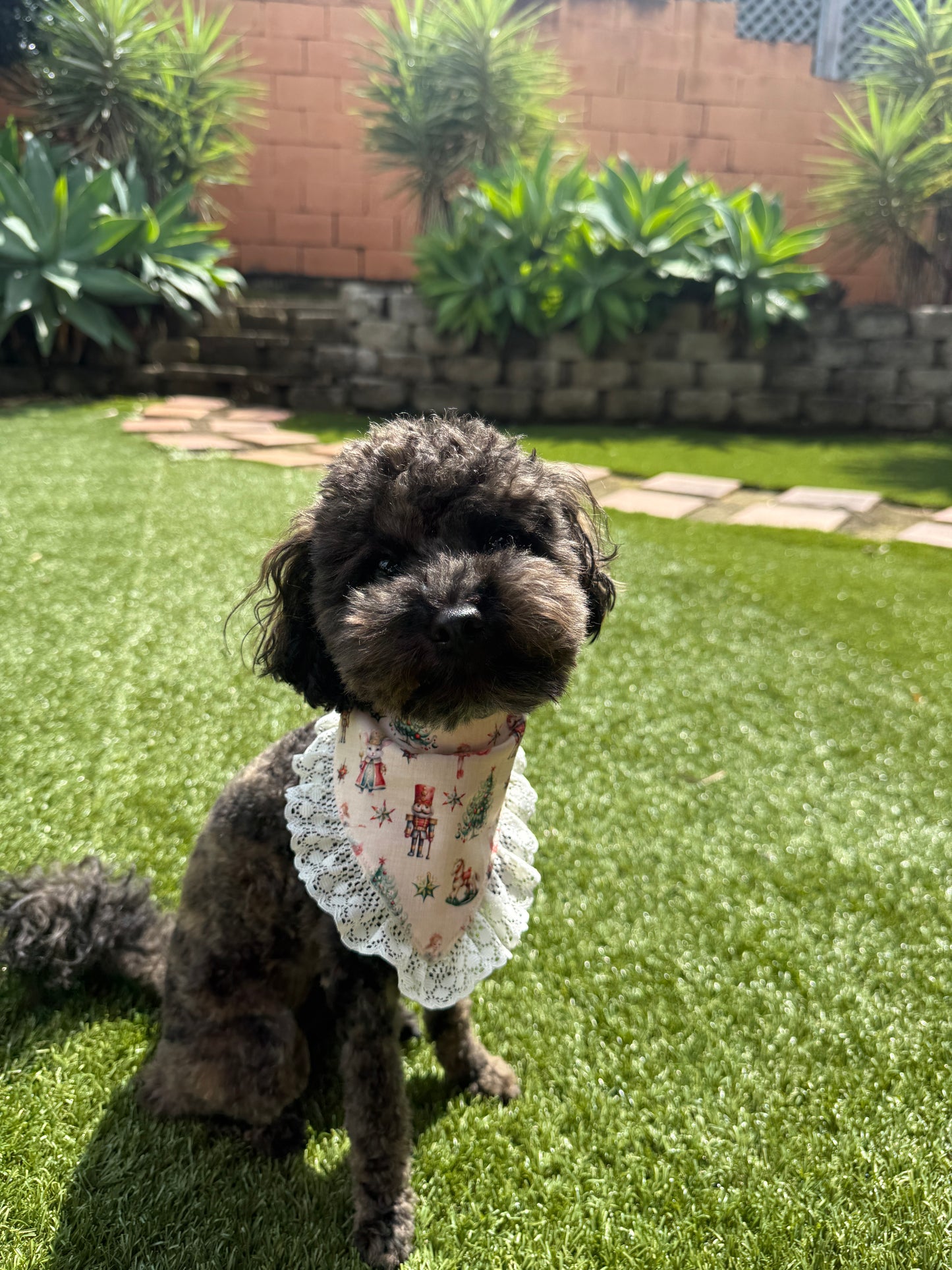 Nutcracker Dream Dog Bandana