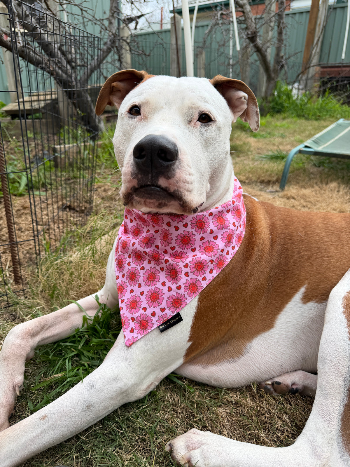 Pink Love Florals Dog Bandana