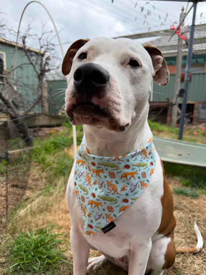 Down Under Dog Bandana