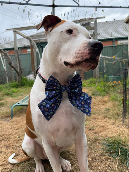 Dragons Bow & Bow Tie