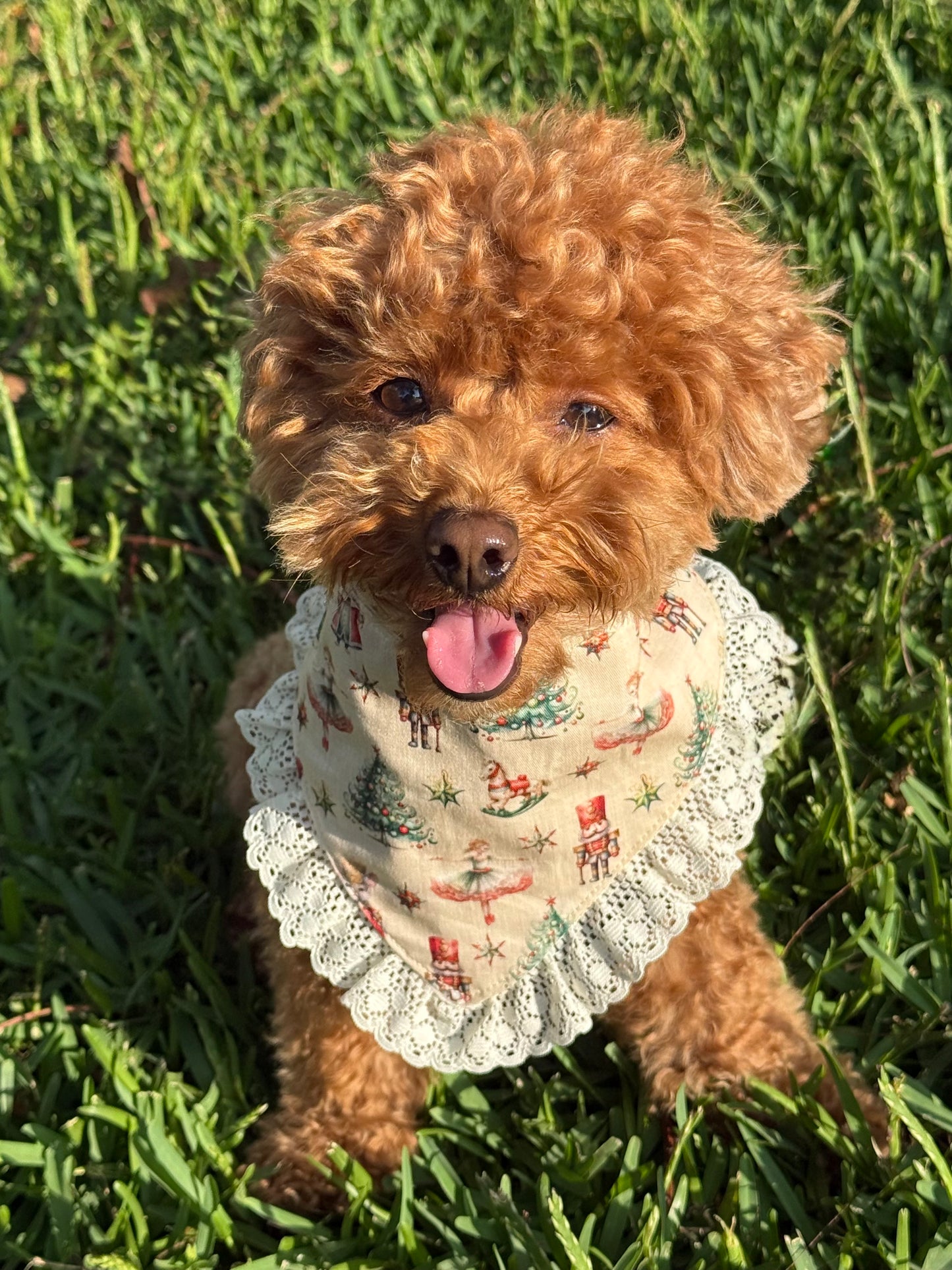 Nutcracker Dream Dog Bandana