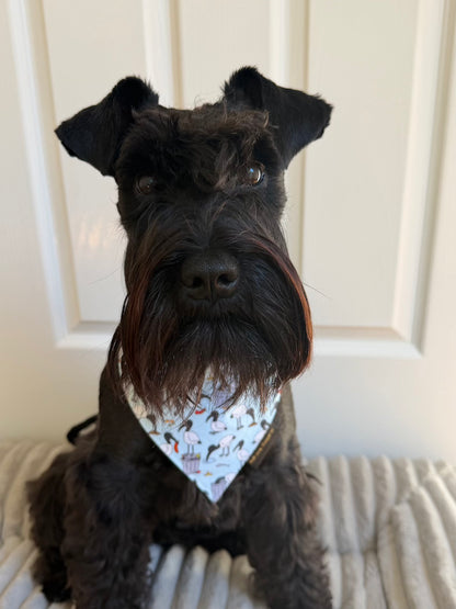 Bin Chicken Dog Bandana