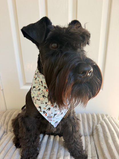 Bin Chicken Dog Bandana