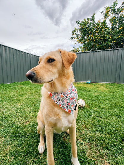 Paws & Petals Dog Bandana