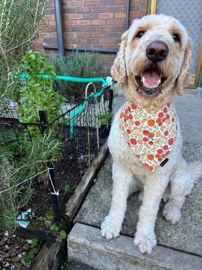 Pasta! Pasta! Dog Bandana