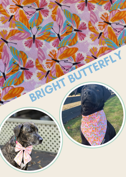 Bright Butterflies