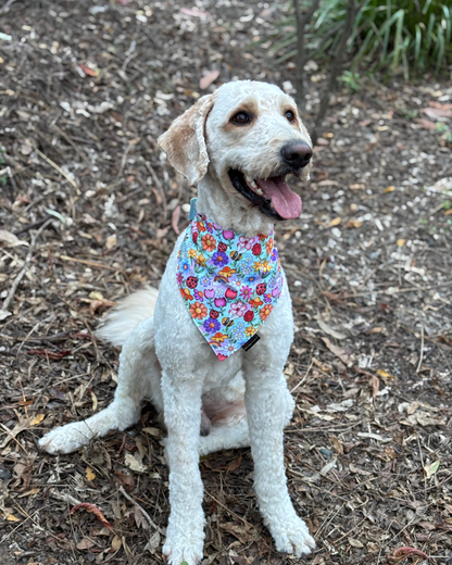 Happy Floral