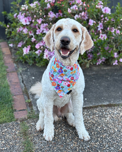 Happy Floral