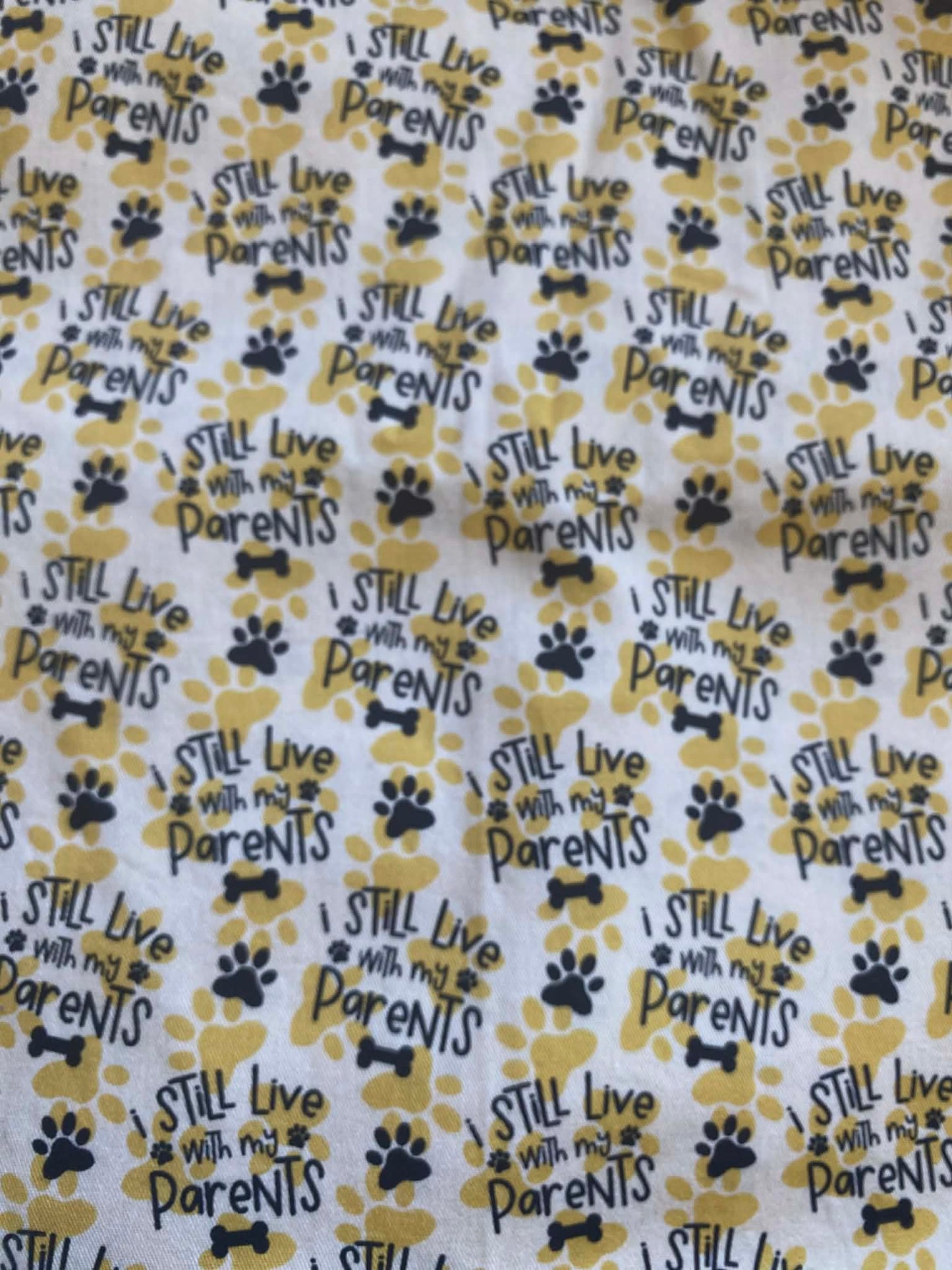 I Still Live With My Parents Bandana