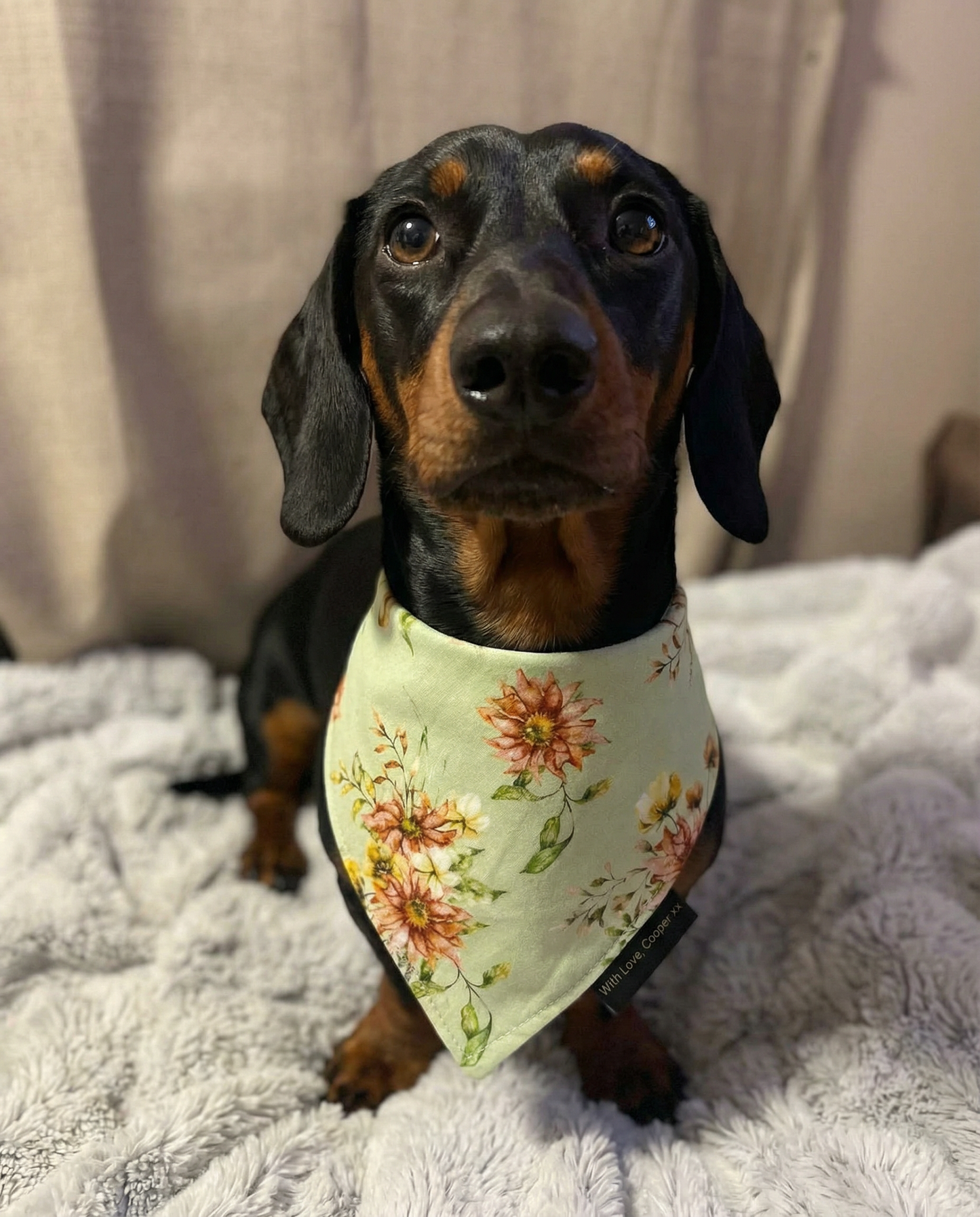 Sage Floral Dog Bandana