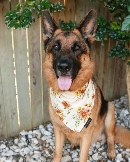 Cream Floral Dog Bandana