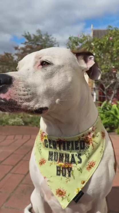 Sage Floral Dog Bandana