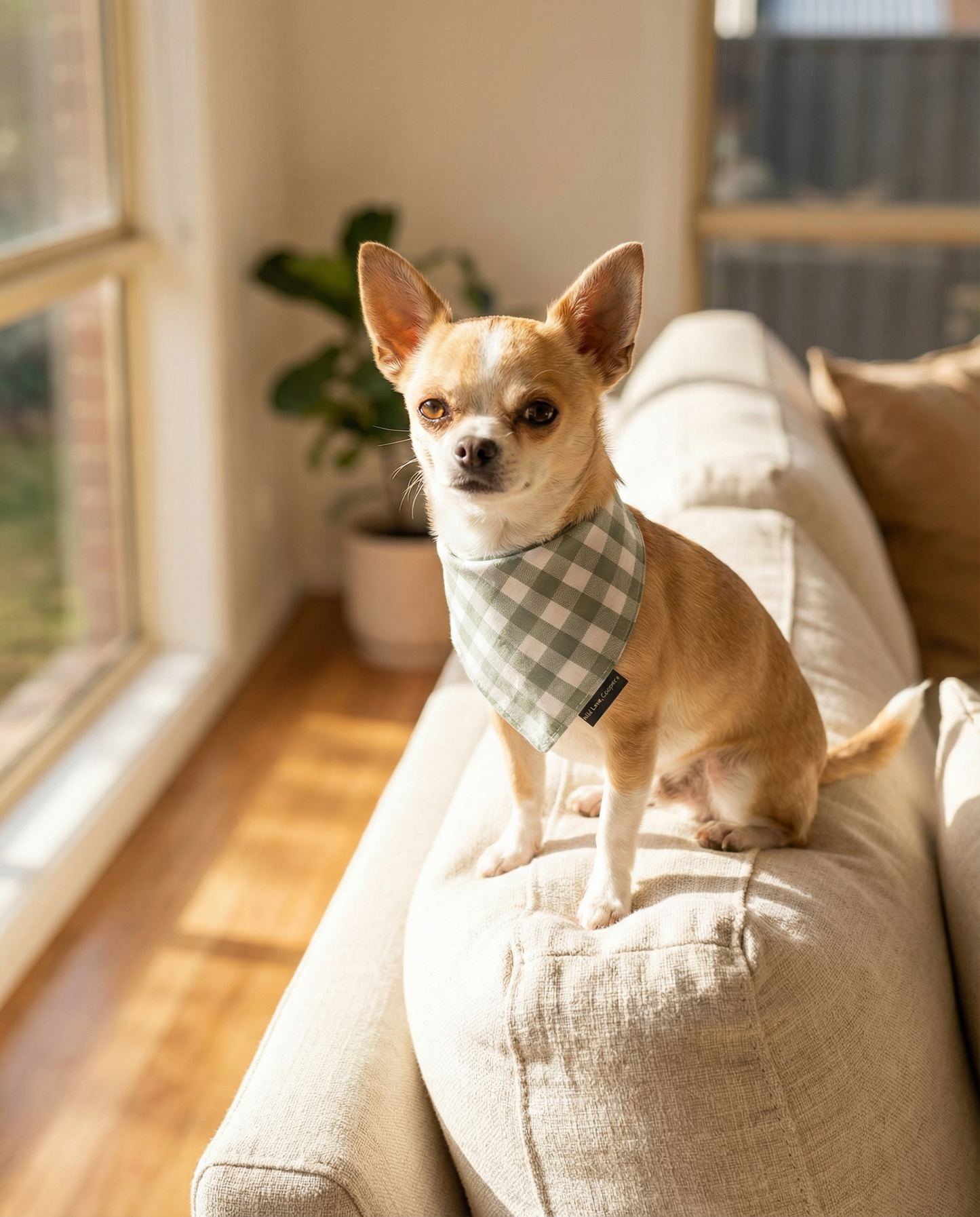 Moss Green Gingham Dog Bandana