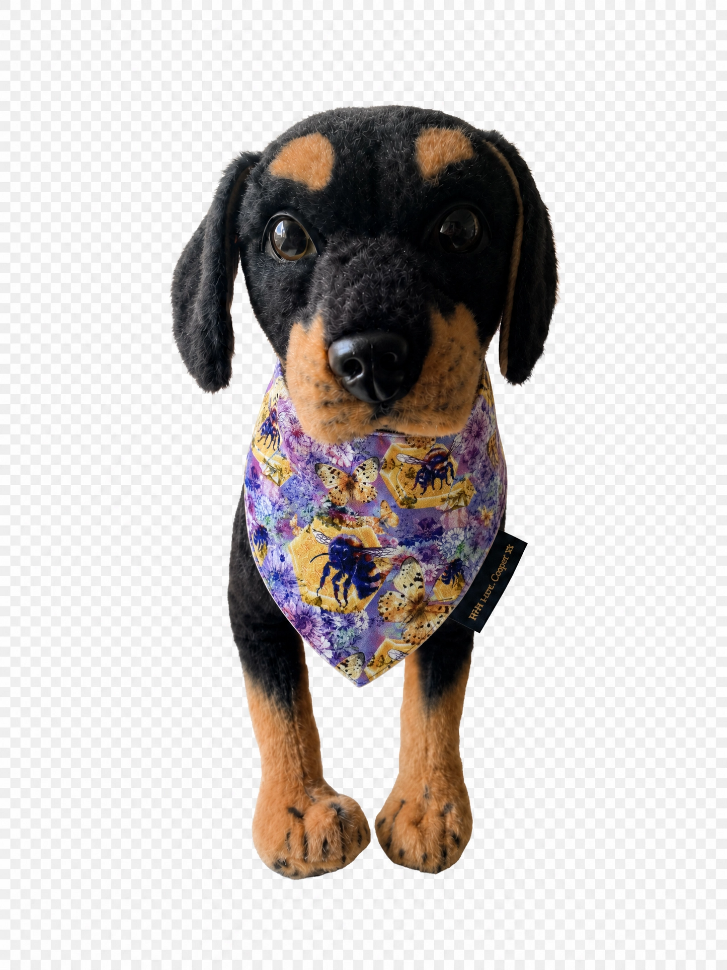 Butterflies & Bees Dog Bandana